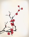 Blossom painting