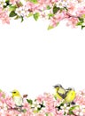 Blossom pink sakura flowers and song birds. Floral card or blank. Watercolor Royalty Free Stock Photo