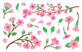 Blossom sakura branches and flowers. Pink cherry tree floral petals. Oriental spring festive, japanese symbol. Blooming Royalty Free Stock Photo