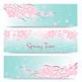 Blossom sakura or cherry cards. Spring flowers banners