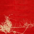 Blossom silhouette on red ribbed handmade paper Royalty Free Stock Photo