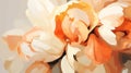 Blossom tulips peach fuzz color soft overexposed shading. Beautiful spring floral background.