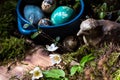 Blossom of windflower (anemone) in background of colored Easter eggs, branches with buds, moss and wooden bird Royalty Free Stock Photo