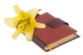 Blossom yellow lily flower and notebook Royalty Free Stock Photo