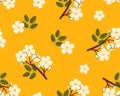 Blossomed flowers, spring seamless pattern. Floral branches, endless summer background. Blooms, repeating print, texture Royalty Free Stock Photo