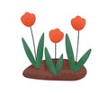 Blossomed spring flowers growing in ground. Blooming floral garden plants with leaf in soil. Abstract wild flora. Flat