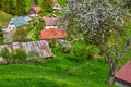 Blossoming apple tree and old miner`s settlement at Moce Royalty Free Stock Photo