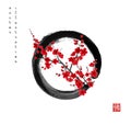 Blossoming branch of oriental cherry in black enso zen circle. Traditional oriental ink painting sumi-e, u-sin, go-hua