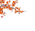 Blossoming branch of oriental sakura cherry on white background. Traditional oriental ink painting sumi-e, u-sin, go-hua