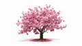 A Blossoming Cherry Tree Adorned with Pink Blossoms White Background AI Generative