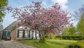 Blossoming cherry tree and a medieval country house in the Netherlands