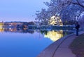 Blossoming cherry trees around Tidal Basin at dawn in Washington DC, USA. Royalty Free Stock Photo