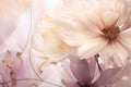 Blossoming flower background nature bloom pink