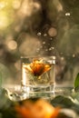 Blossoming flower in a sparkling glass of water. Ai generation. Royalty Free Stock Photo