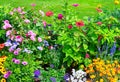 Blossoming flowerbeds Royalty Free Stock Photo