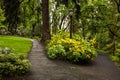 Blossoming flowers on a garden path in a city park.