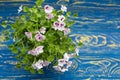 Blossoming geranium on a wooden background