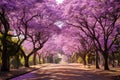 Blossoming Jacaranda trees park. Generate Ai