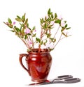 The blossoming Labrador tea branches with pink colors in a ceramic pot Royalty Free Stock Photo