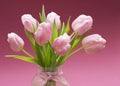 Blossoming light pink tulips, bright springtime bouquet floral card, selective focus 3