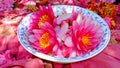 Blossoming lotus flowers in a bowl for puja