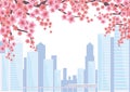 Blossoming Oriental cherry background Royalty Free Stock Photo