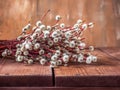 Blossoming pussy willow branches lie on a wooden table close-up