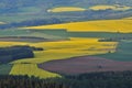 Blossoming rapeseed, Brassica napus, rape, oilseed rape fields view from the top Royalty Free Stock Photo