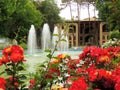 Blossoming red Isfahan Hasht Behesht palace flowers by fountain