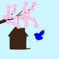 Blossoming sakura and bird house