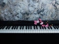 A blossoming sakura branch on a digital piano keyboard Royalty Free Stock Photo