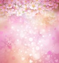 Blossoming sakura treebackground. Royalty Free Stock Photo
