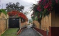 Blossoming spring flowers hanging over the fences of a small dead end street