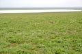 The blossoming spring steppe and the lake Manych on the horizon. Kalmykia