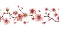 A blossoming tree branch spring sakura cherry flowers and buds seamless border Watercolor hand drawn Royalty Free Stock Photo