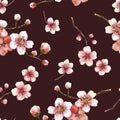 Blossoming tree branch spring time sakura cherry flowers buds seamless pattern Watercolor hand drawn Royalty Free Stock Photo