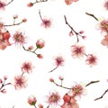 Blossoming tree branch spring time sakura cherry flowers buds seamless pattern Watercolor hand drawn Royalty Free Stock Photo