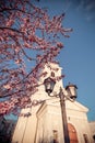 Blossoming tree in church garden Royalty Free Stock Photo