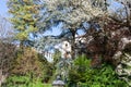 Blossoming trees in public park Giardini Salvi