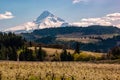 Blossoms in Hood River Fruit Loop Oregon