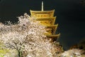 Blossoms of sakura trees and the famous Five-Story Pagoda of Toji Temple in Kyoto