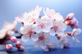 Blossoms of spring a fragrant collection of fresh, colorful flowers Royalty Free Stock Photo