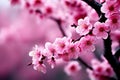 Blossoms The tree is adorned with a profusion of abstra