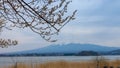 Blossum Chinese plum flowers with mount Fuji and Lake Kawaguchi Royalty Free Stock Photo