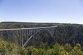 Bloukrans River bridge (216 m)