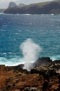 Blow Hole Royalty Free Stock Photo