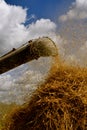 Chaff and straw leaving the blower pipe of a threshing machine and creating a straw pile Royalty Free Stock Photo