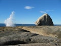 Blowhole at Bicheno Royalty Free Stock Photo