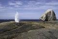 Blowhole at Bicheno erupting water in Tasmania, Australia Royalty Free Stock Photo