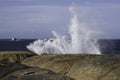 Blowhole at Bicheno erupting water in Tasmania, Australia Royalty Free Stock Photo